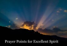 Prayer Points for Excellent Spirit