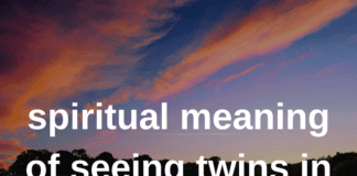 Spiritual Meaning of Seeing Twins in a Dream