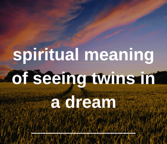 Spiritual Meaning of Seeing Twins in a Dream
