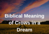 Biblical Meaning of Crows in a Dream