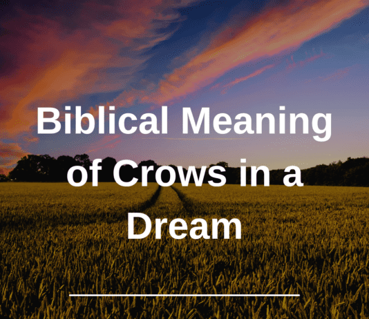 Biblical Meaning of Crows in a Dream Biblical Meaning of Crows in a Dream