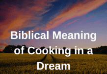 Biblical Meaning of Cooking in a Dream