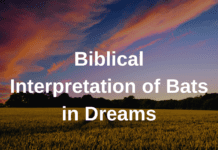 Biblical Interpretation of Bats in Dreams