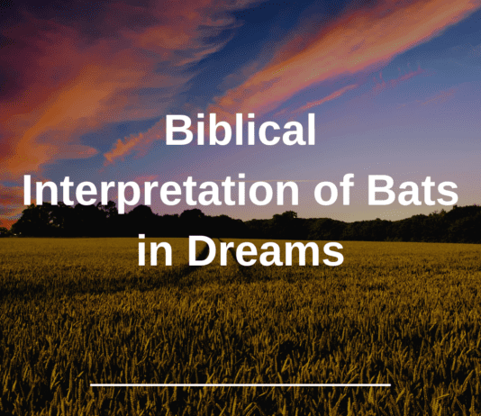 Biblical Interpretation of Bats in Dreams