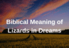 Biblical Meaning of Lizards in Dreams