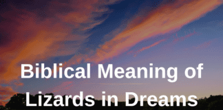 Biblical Meaning of Lizards in Dreams