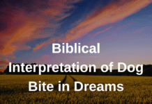 Biblical Interpretation of Dog Bite in Dreams