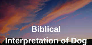 Biblical Interpretation of Dog Bite in Dreams