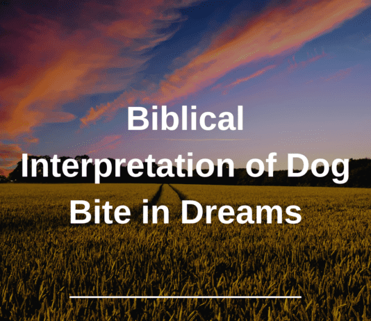 Biblical Interpretation of Dog Bite in Dreams