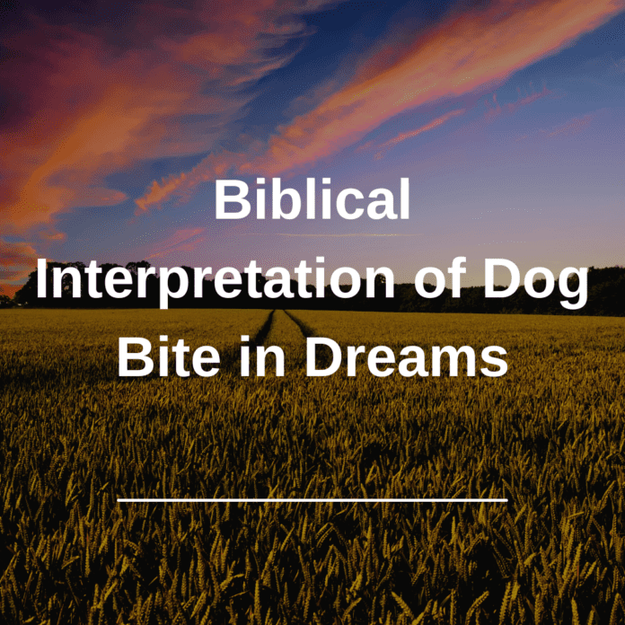 Biblical Interpretation of Dog Bite in Dreams