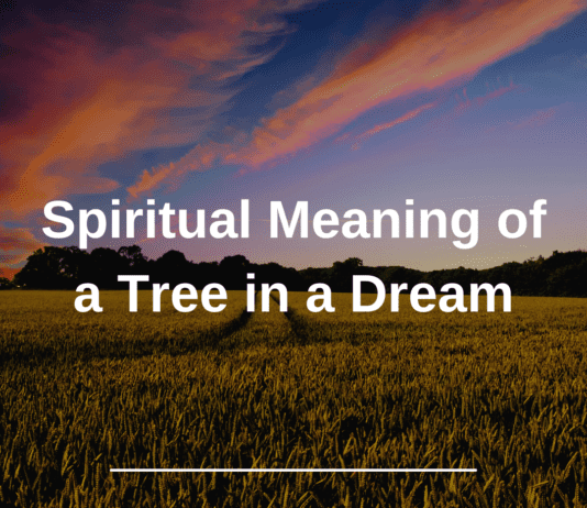 Spiritual Meaning of a Tree in a Dream