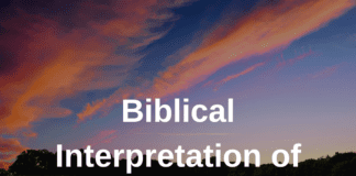 Biblical Interpretation of Animal Dreams