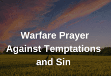 Warfare Prayer Against Temptations and Sin