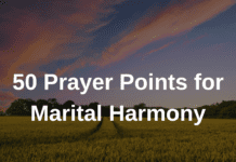 50 Prayer Points for Marital Harmony